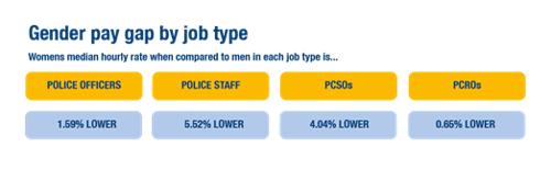 gender pay gap by job type