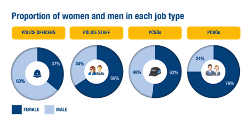 proportion of women and men in each job type